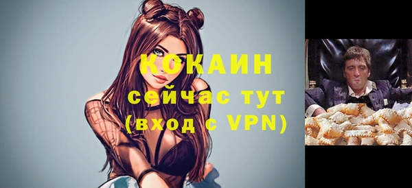 твердый Дмитровск