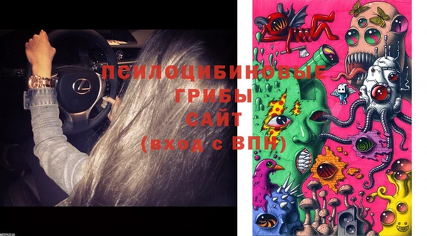 дурь Дмитриев