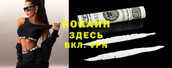 дурь Дмитриев