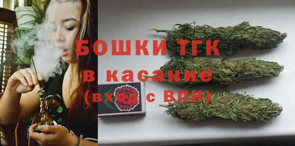 твердый Дмитровск