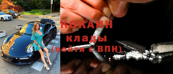 твердый Дмитровск
