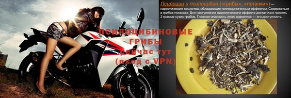 твердый Дмитровск