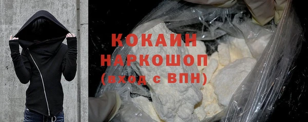 твердый Дмитровск