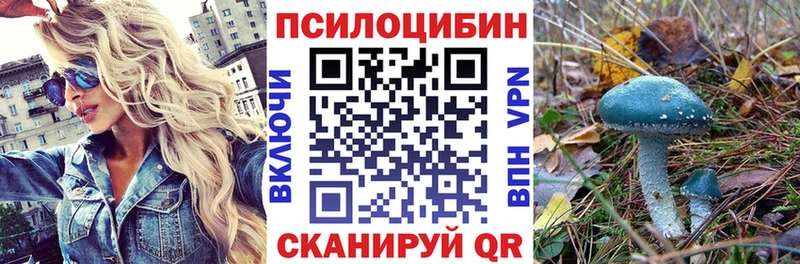 Псилоцибиновые грибы MAGIC MUSHROOMS  нарко площадка официальный сайт  Батайск 